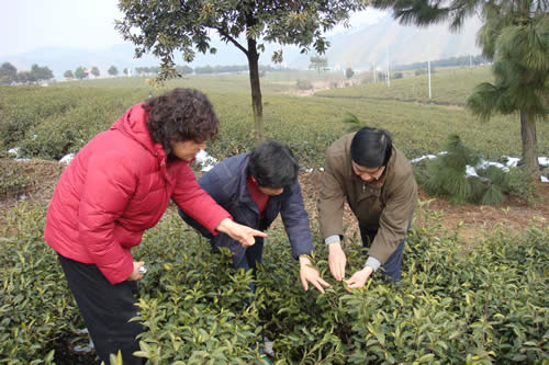 魯成銀副所長(右)查看災(zāi)情