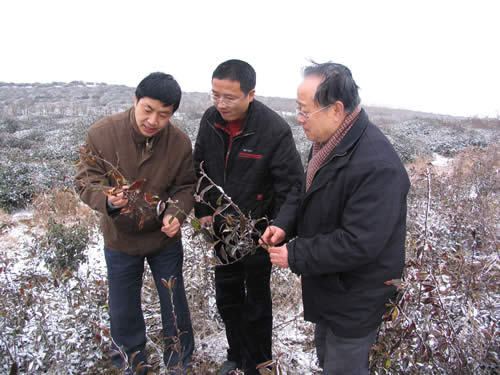 魯副所長(左)在大嵐鎮察看災情